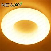 Surface or Ceiling Mount Contemporary Circle Ring LED Ceiling Lights
